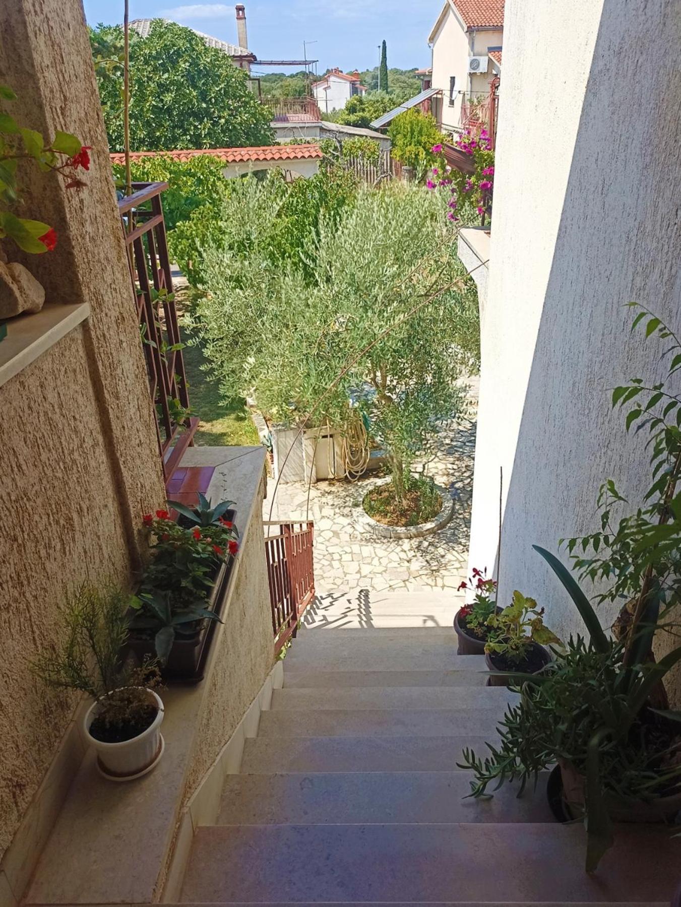 Apartments Villa Laura Πούλα Εξωτερικό φωτογραφία