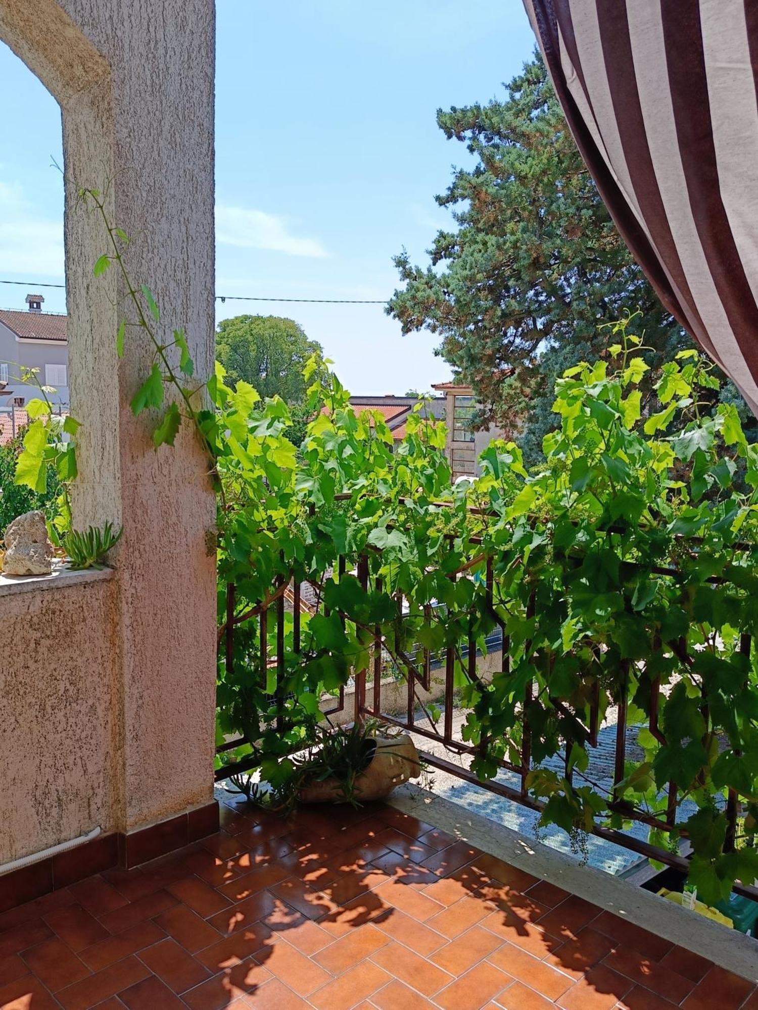 Apartments Villa Laura Πούλα Εξωτερικό φωτογραφία