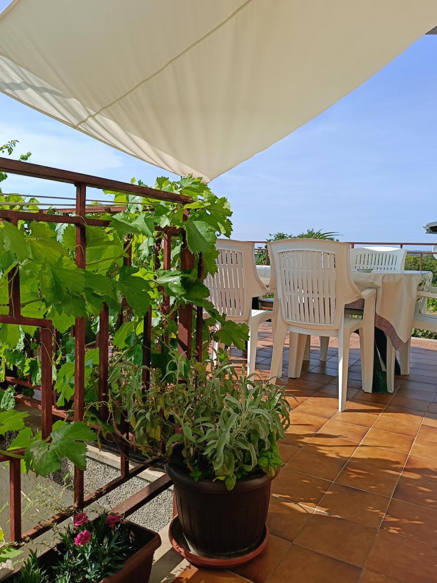 Apartments Villa Laura Πούλα Εξωτερικό φωτογραφία
